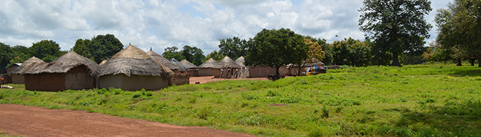 Cultural Tour